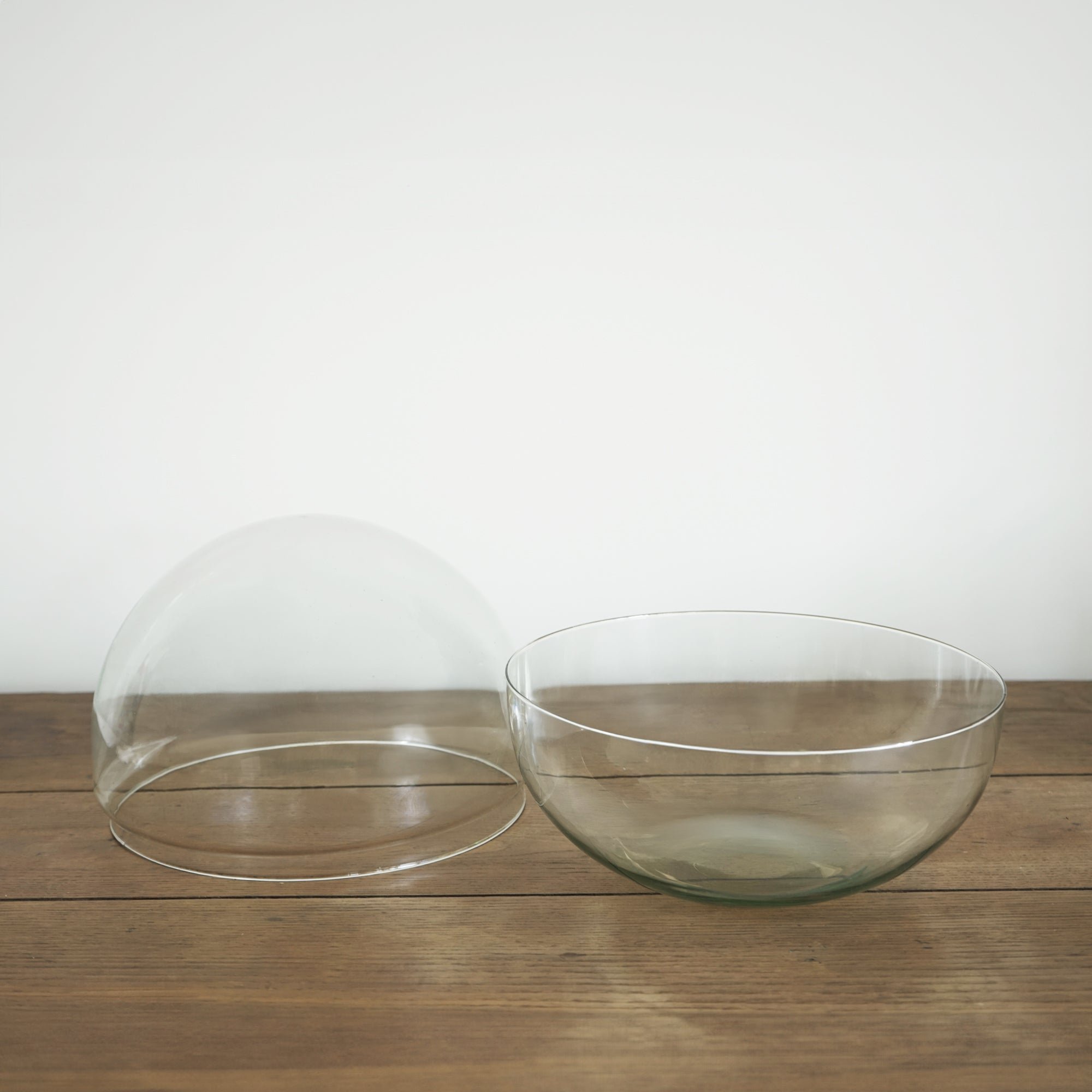 Bocal Terrarium "Toto"