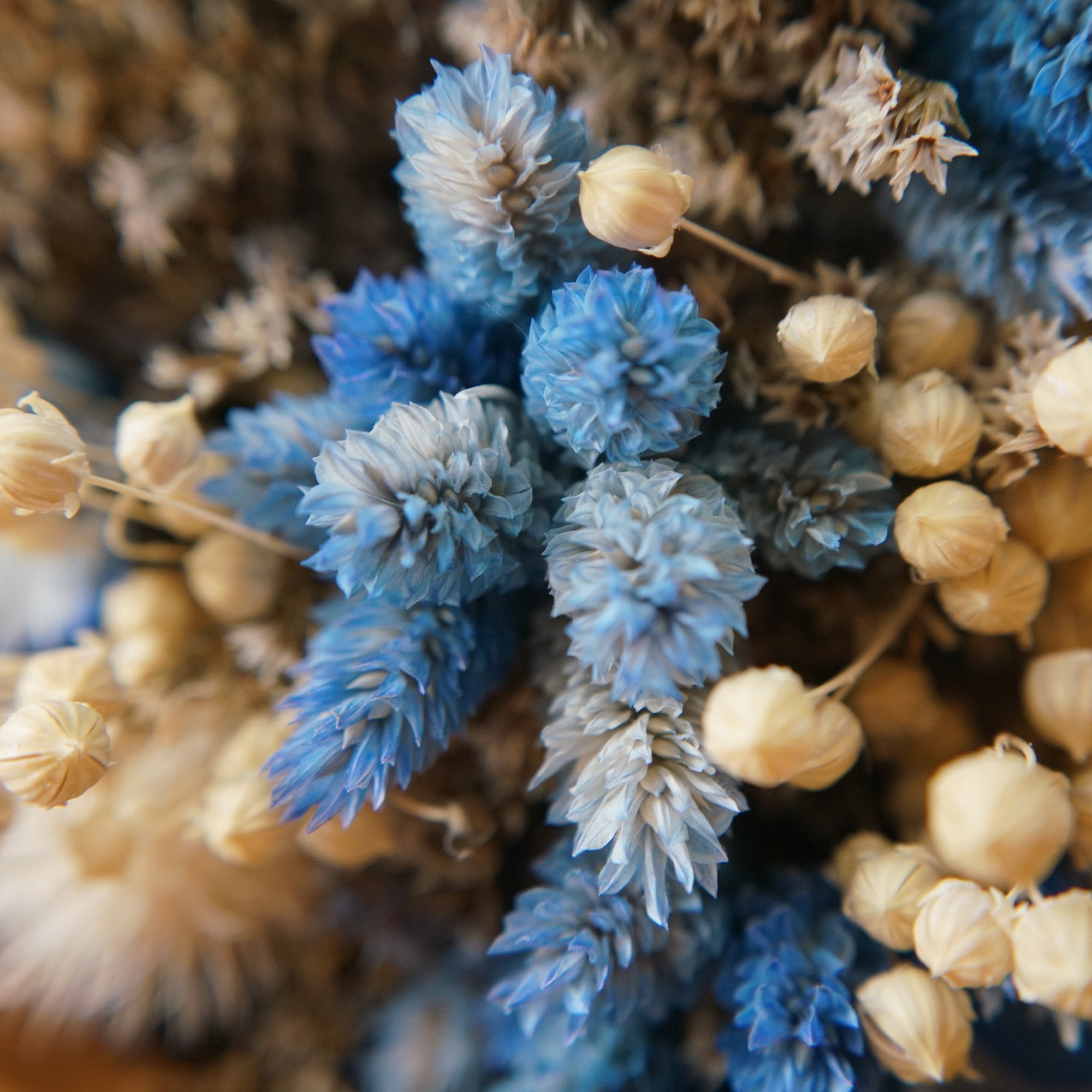 Bouquet de fleurs séchées bleu