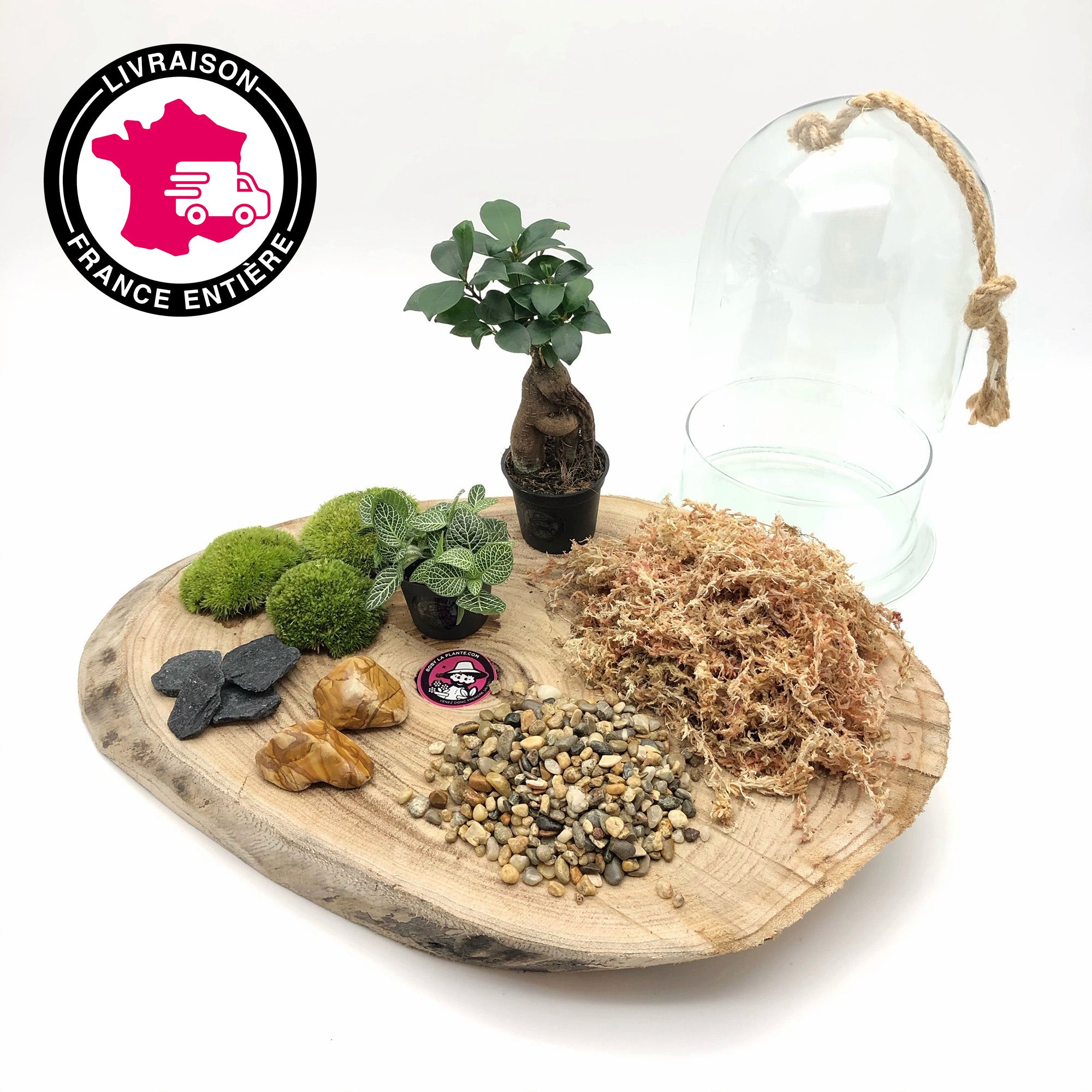 Kit Terrarium DIY Cloche "Castille"