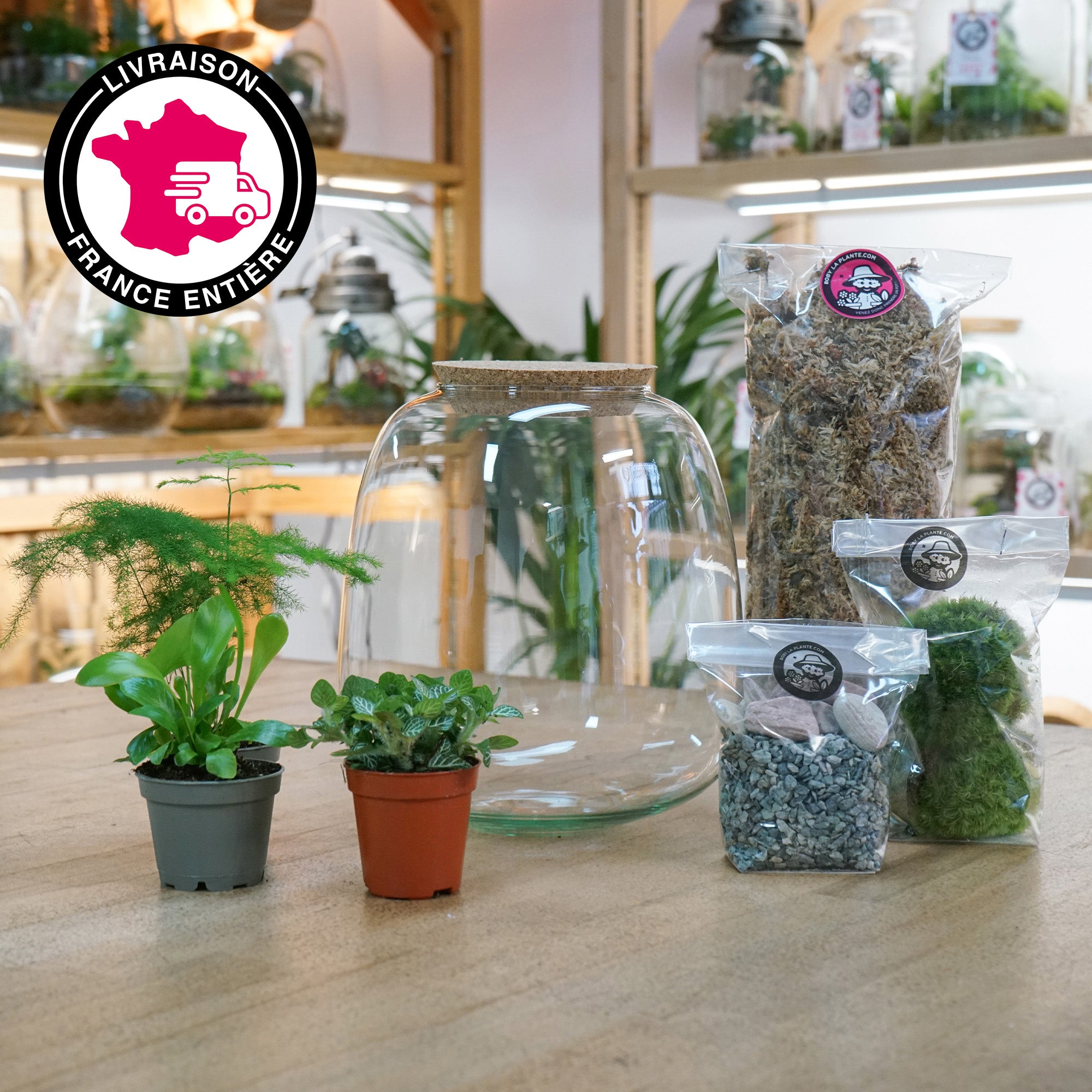 Kit Terrarium DIY "Léon M"