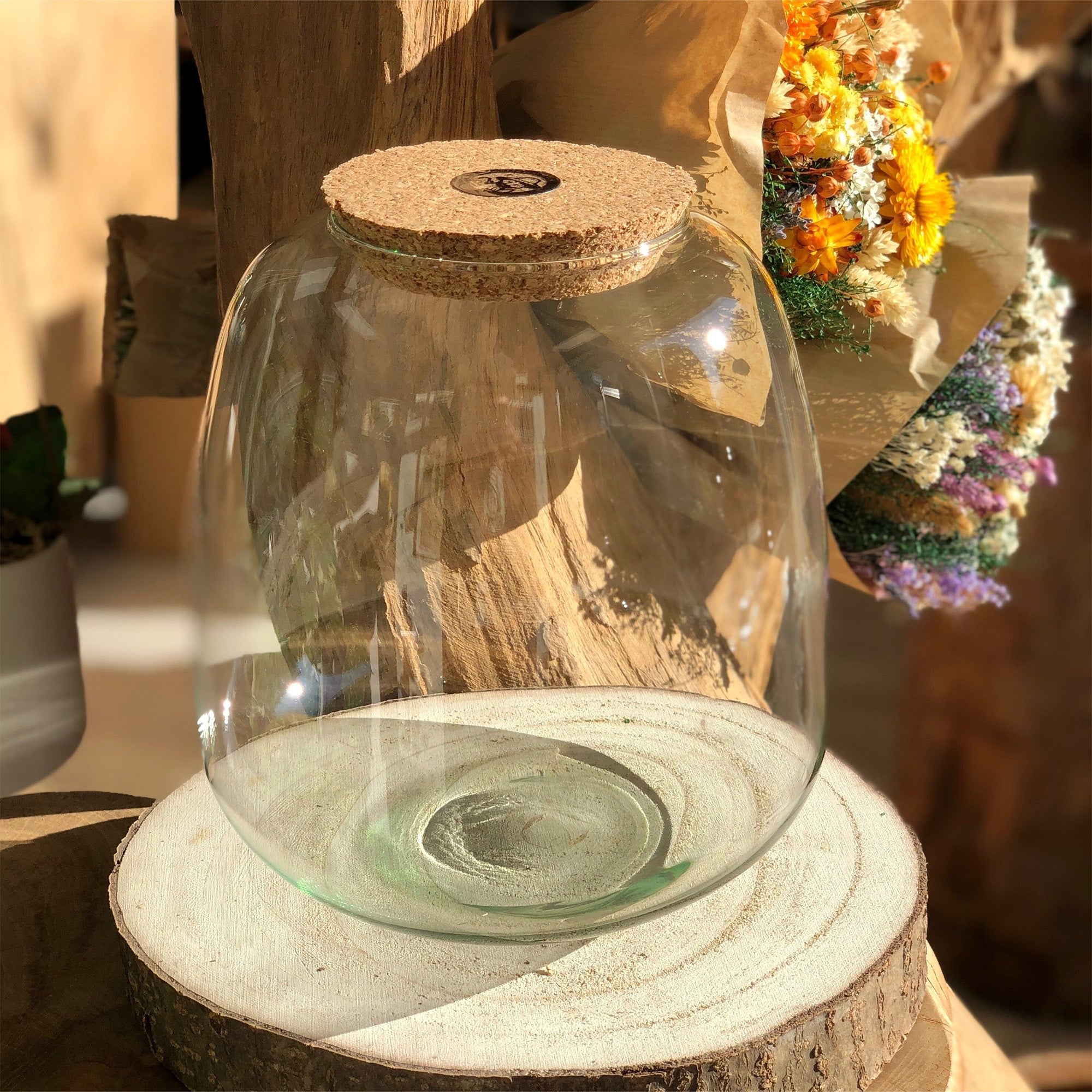 Bocal Terrarium "Léon M"