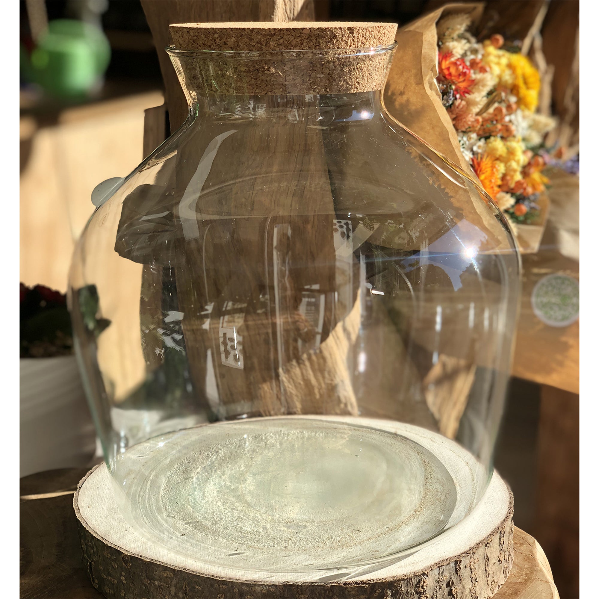 Bocal Terrarium "Aragon L"