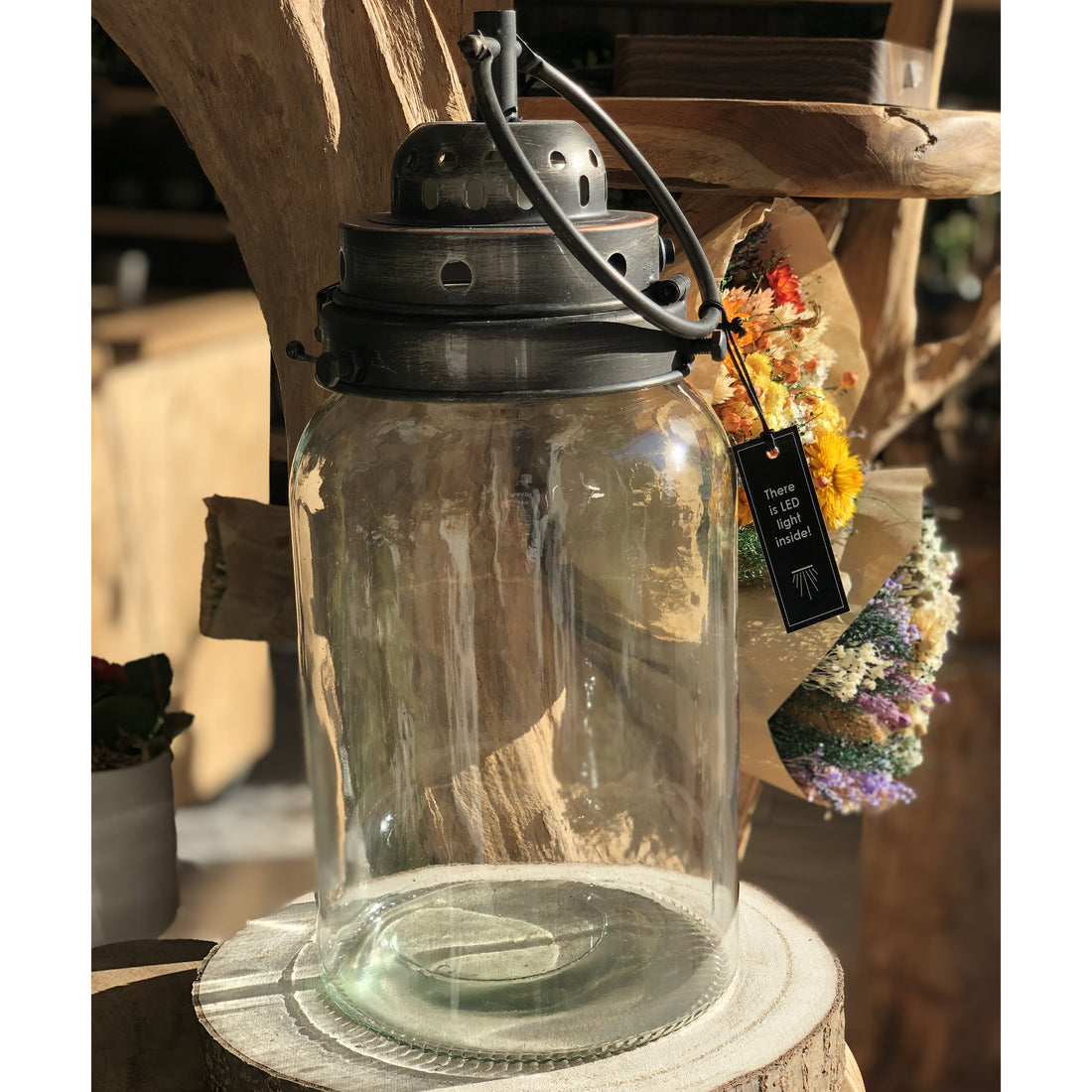 Bocal Terrarium Lanterne "Marcelle"