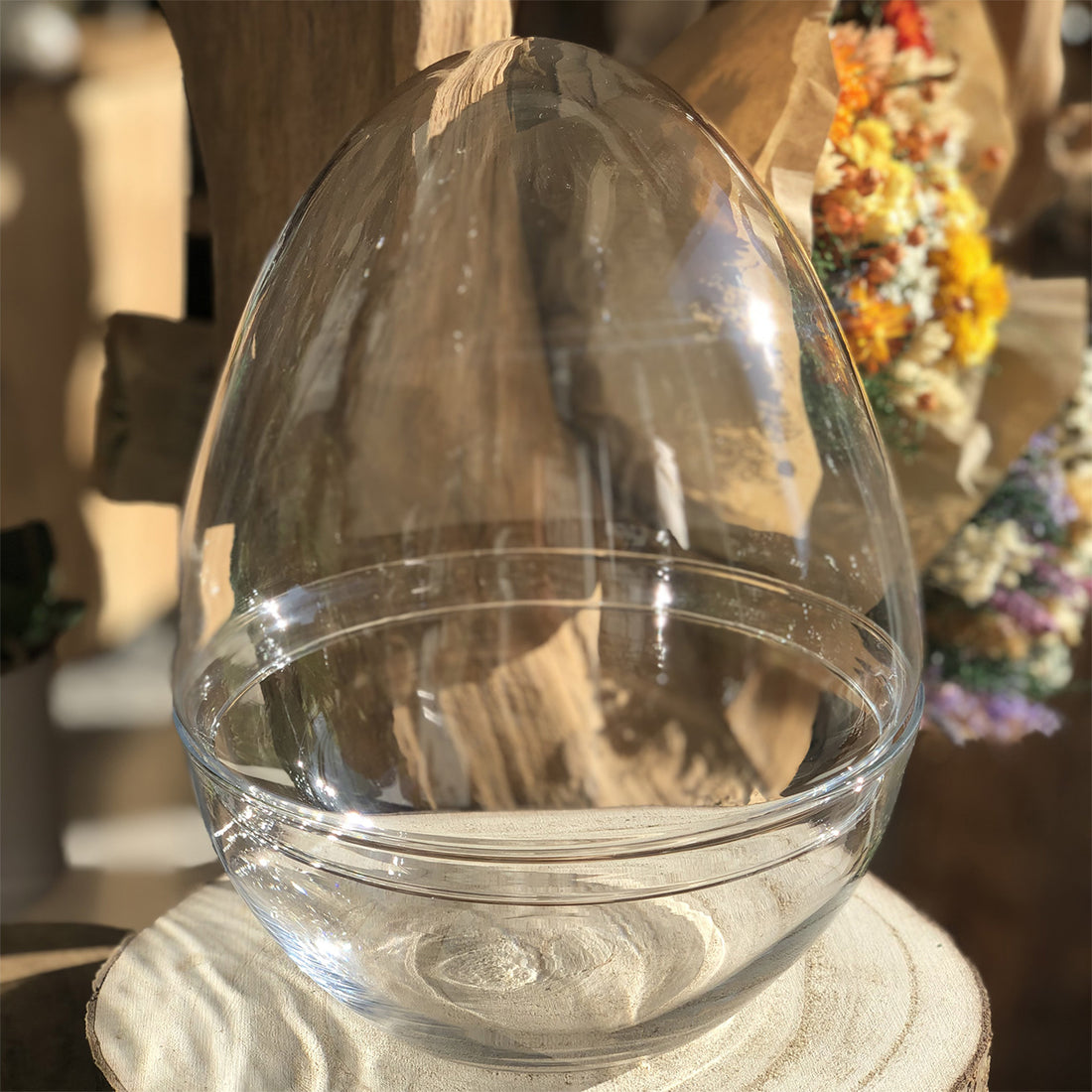 Bocal Terrarium Oeuf "Framboise L"