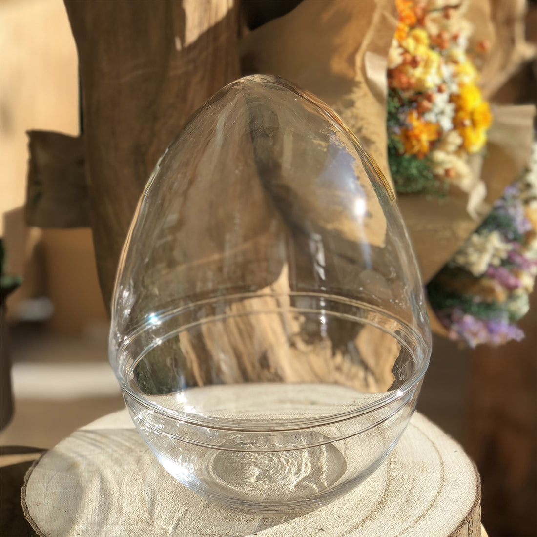 Bocal Terrarium Oeuf "Framboise M"