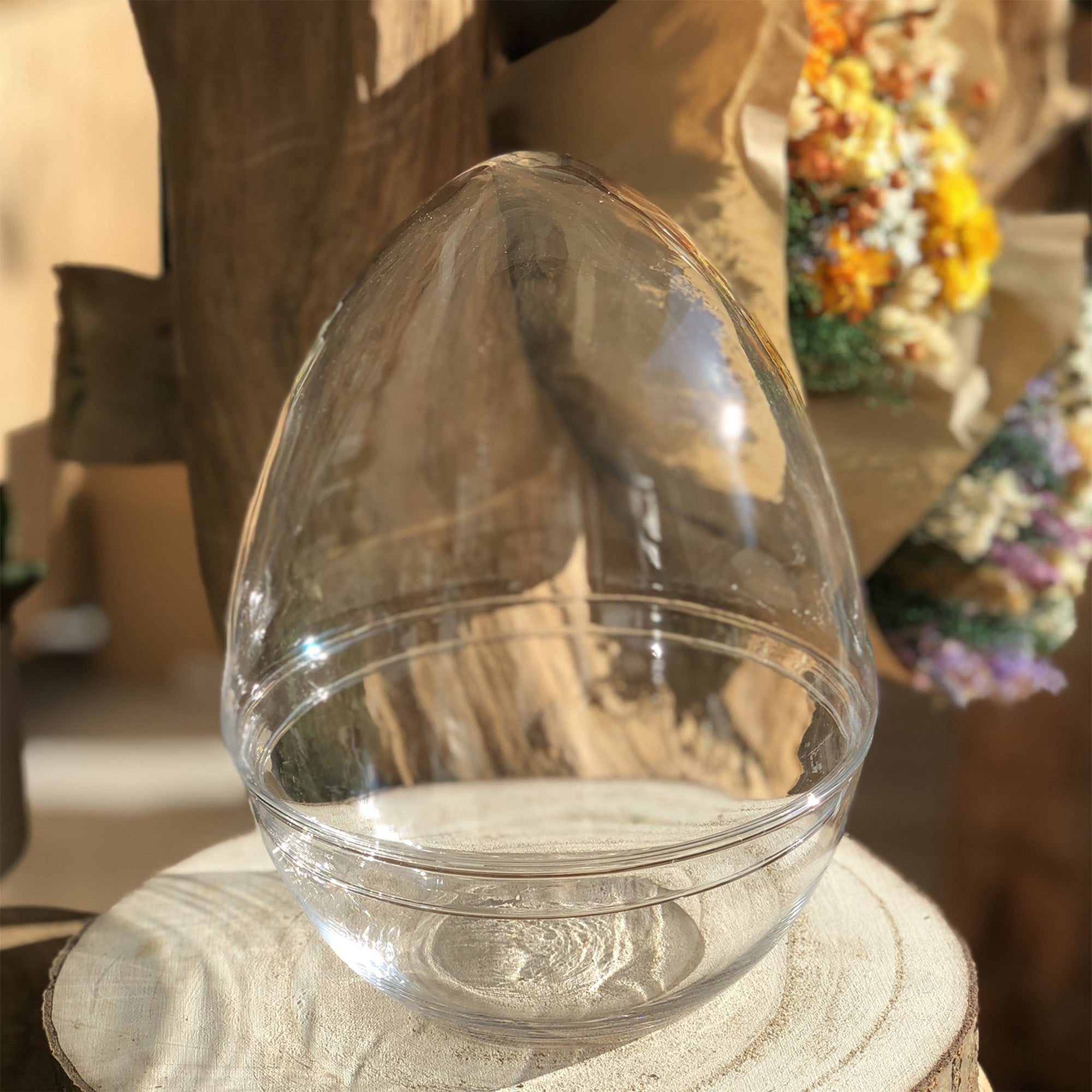 Bocal Terrarium Oeuf "Framboise M"