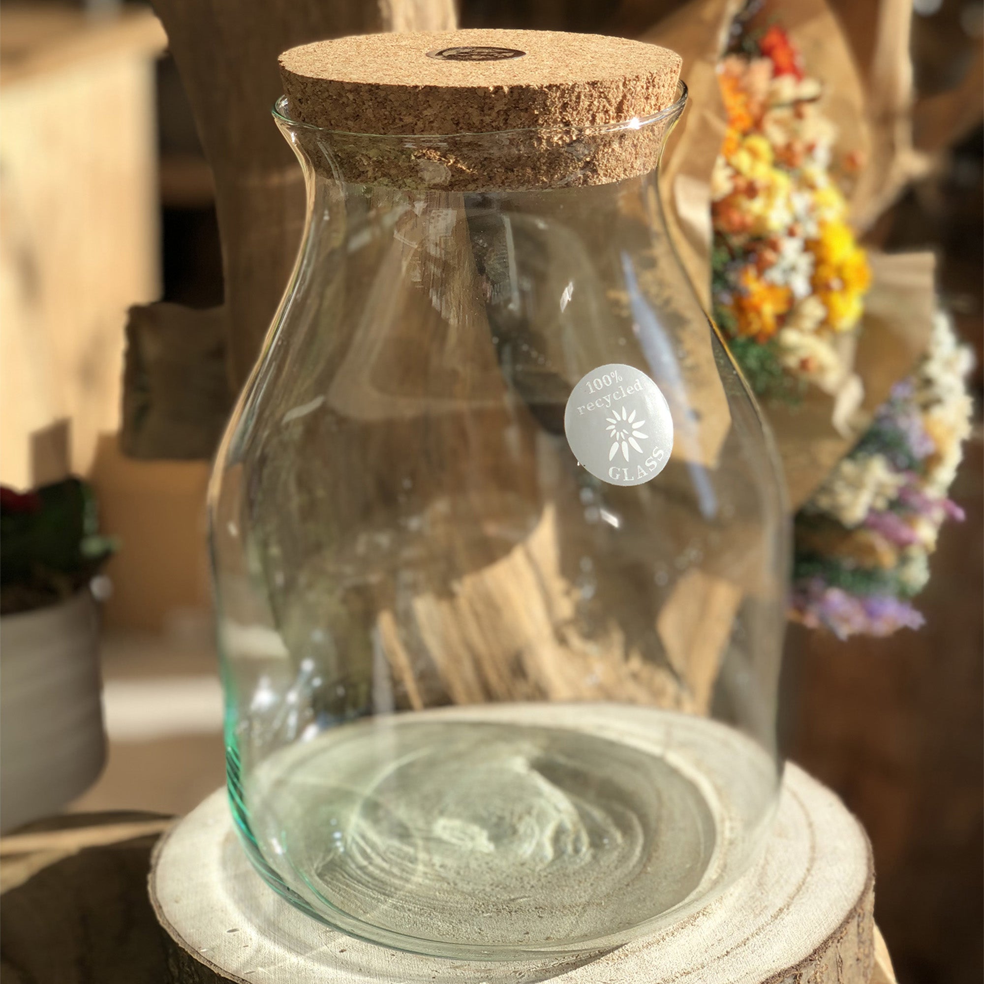 Bocal Terrarium "Zantrop"