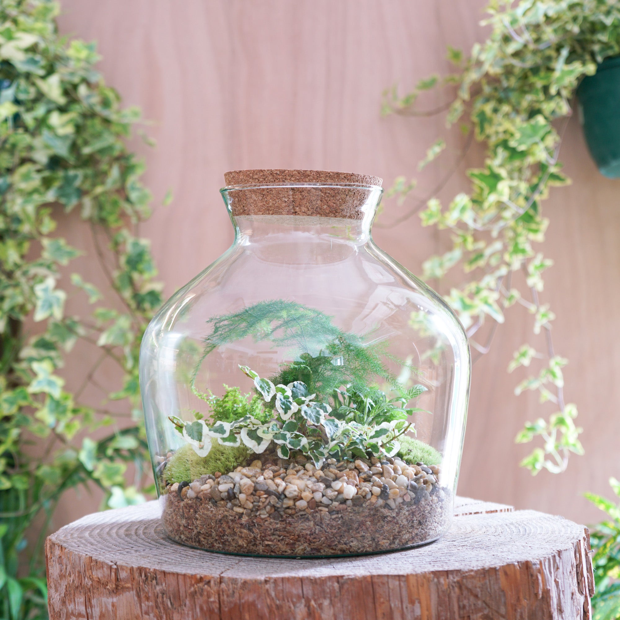 Terrarium "Aragon L"
