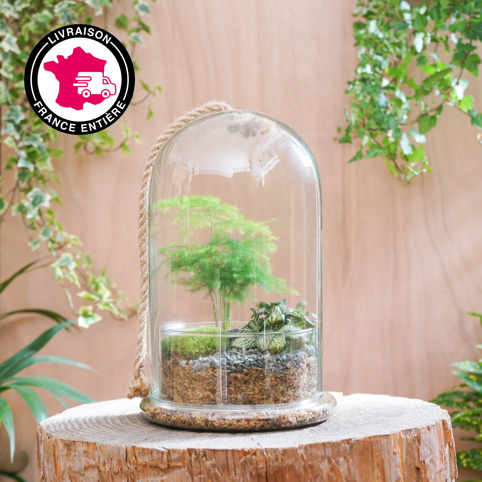 Terrarium Cloche "Castille M"