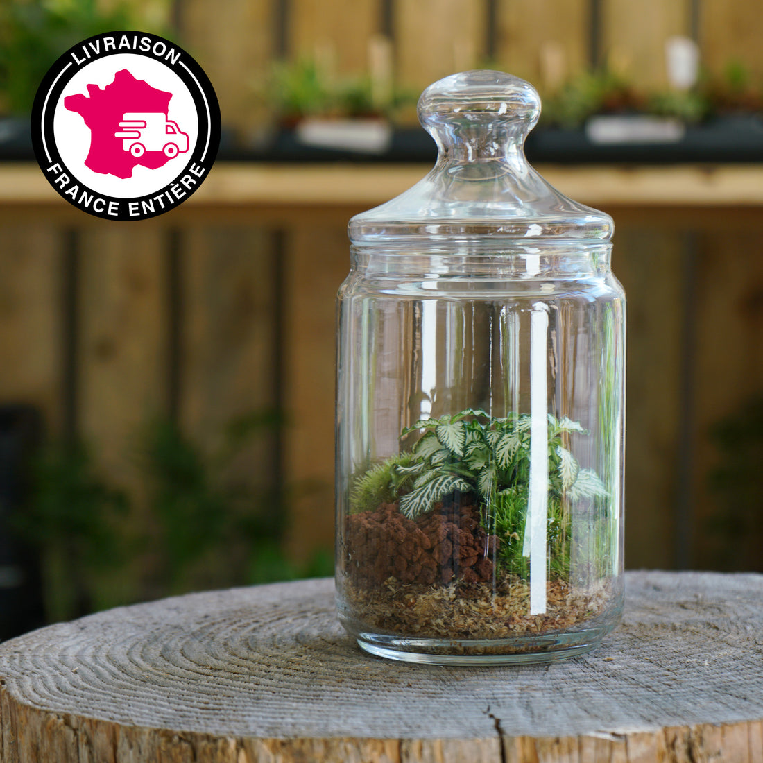 Terrarium "L&