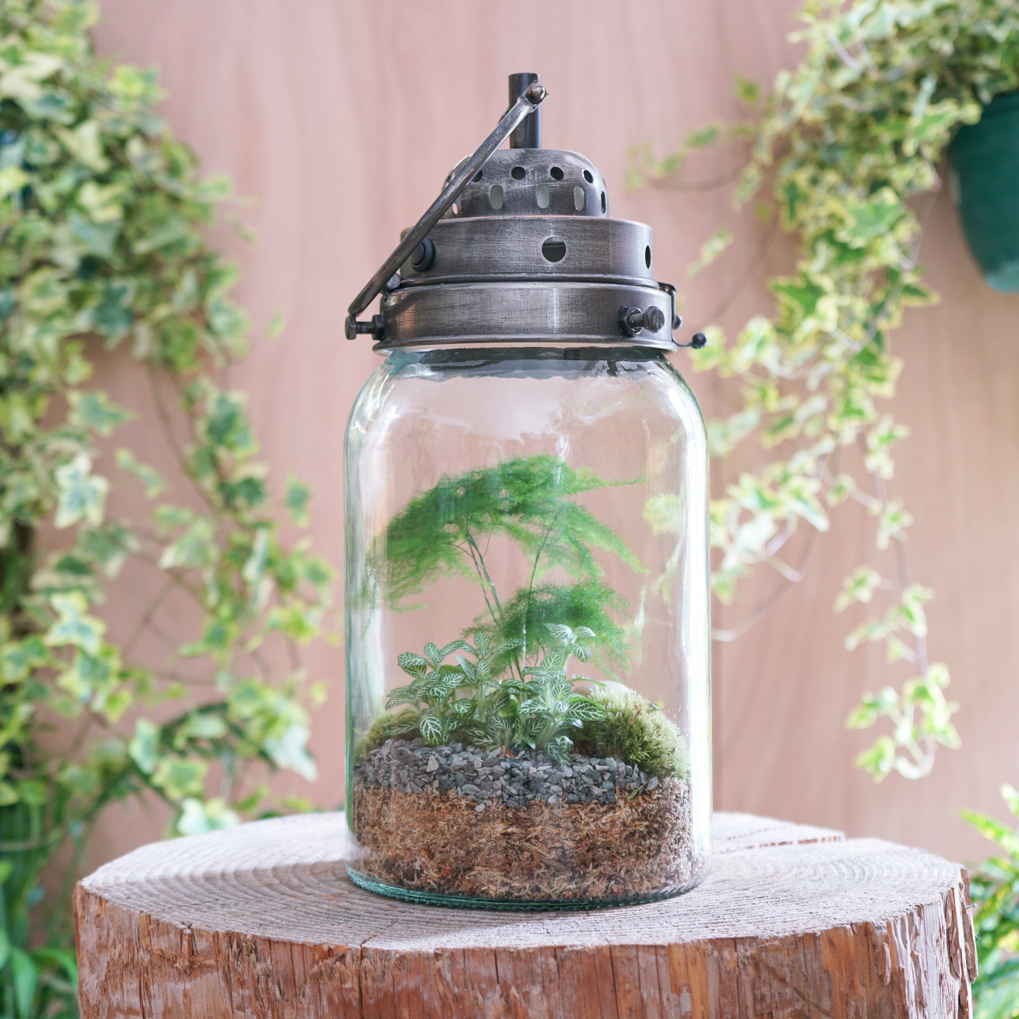 Terrarium Lanterne "Marcelle"