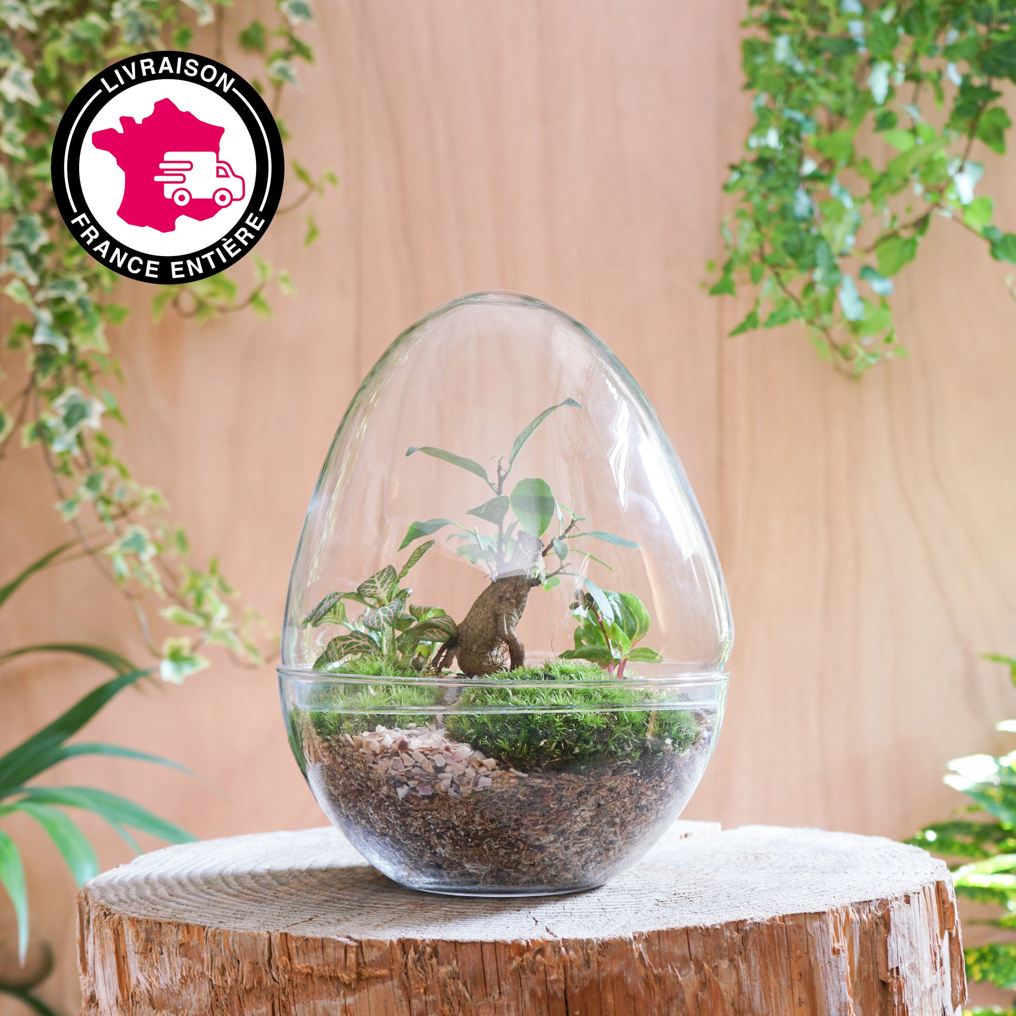 Terrarium Oeuf "Framboise L"