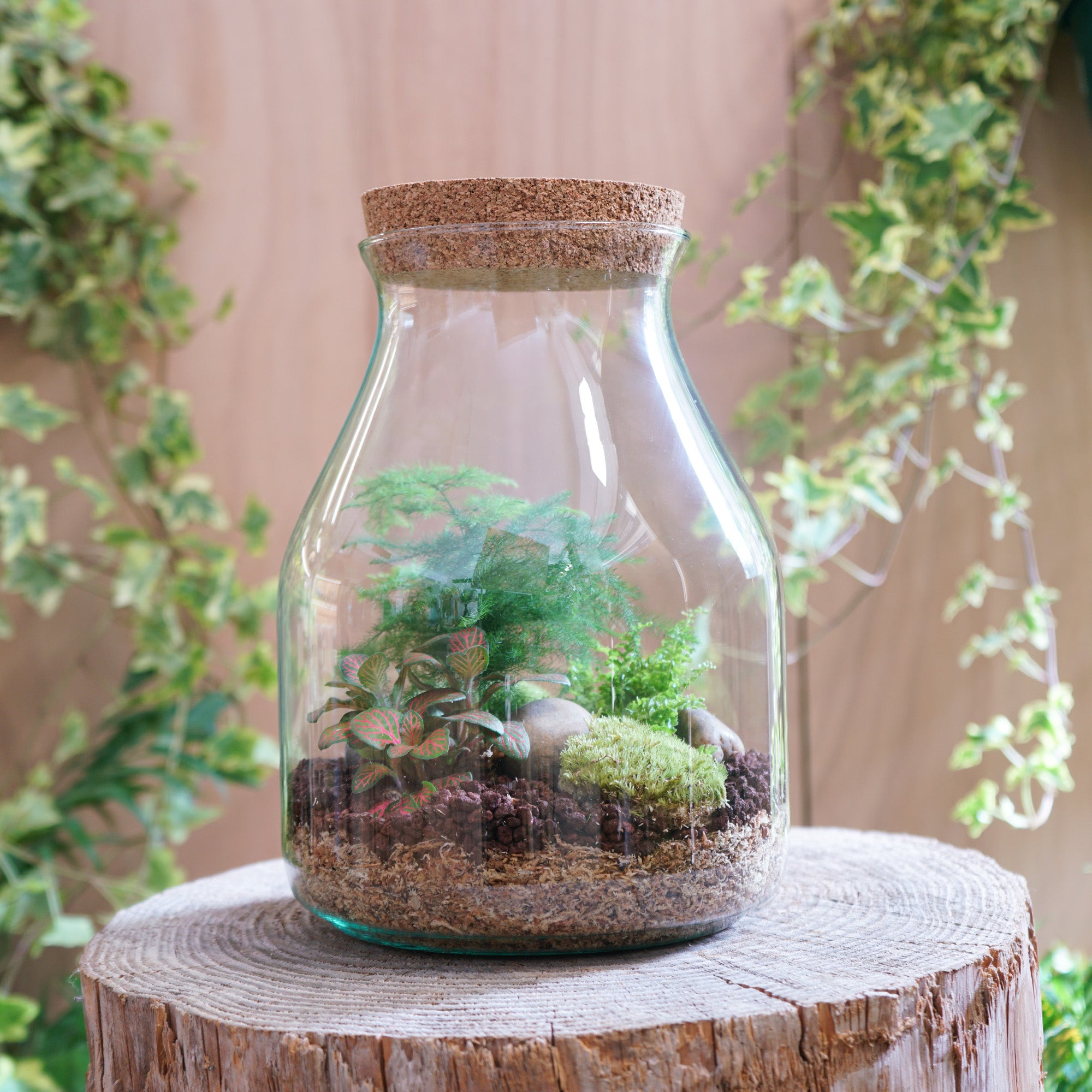 Terrarium "Zantrop"