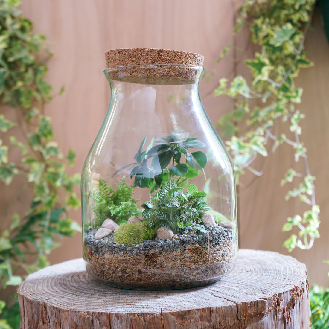 Terrarium "Zantrop"