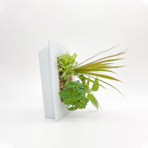 Cadre Végétal "Blanc"