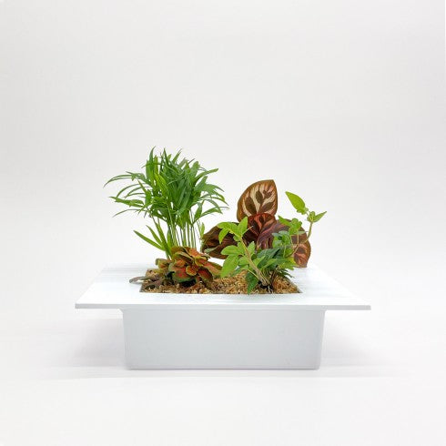 Cadre Végétal "Blanc"