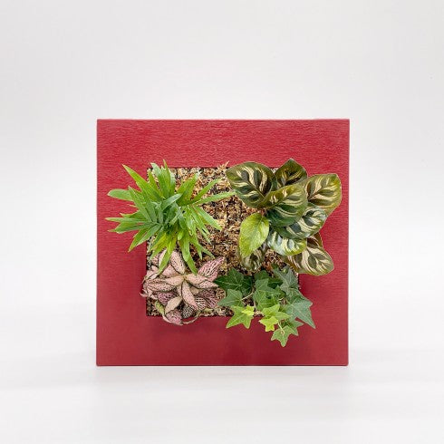 Cadre Végétal "Bordeaux"