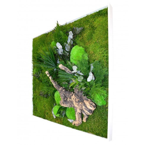 Tableau stabilisé Nature Carré XL