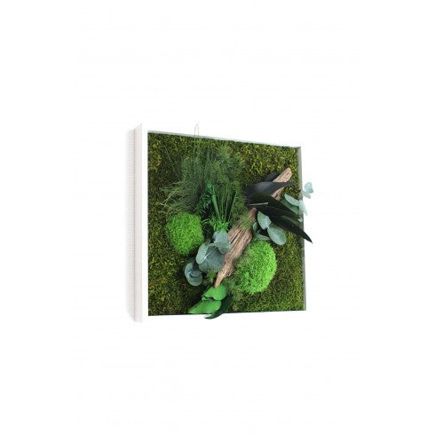 Tableau stabilisé Nature Carré