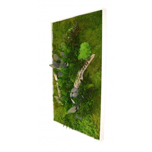 Tableau stabilisé Nature Rectangle XL