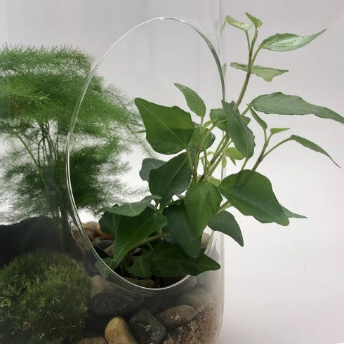 Suspension "Tchita" Asparagus