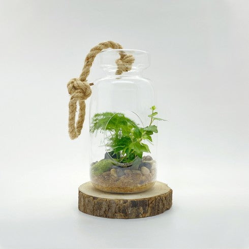 Suspension "Tchita" Asparagus