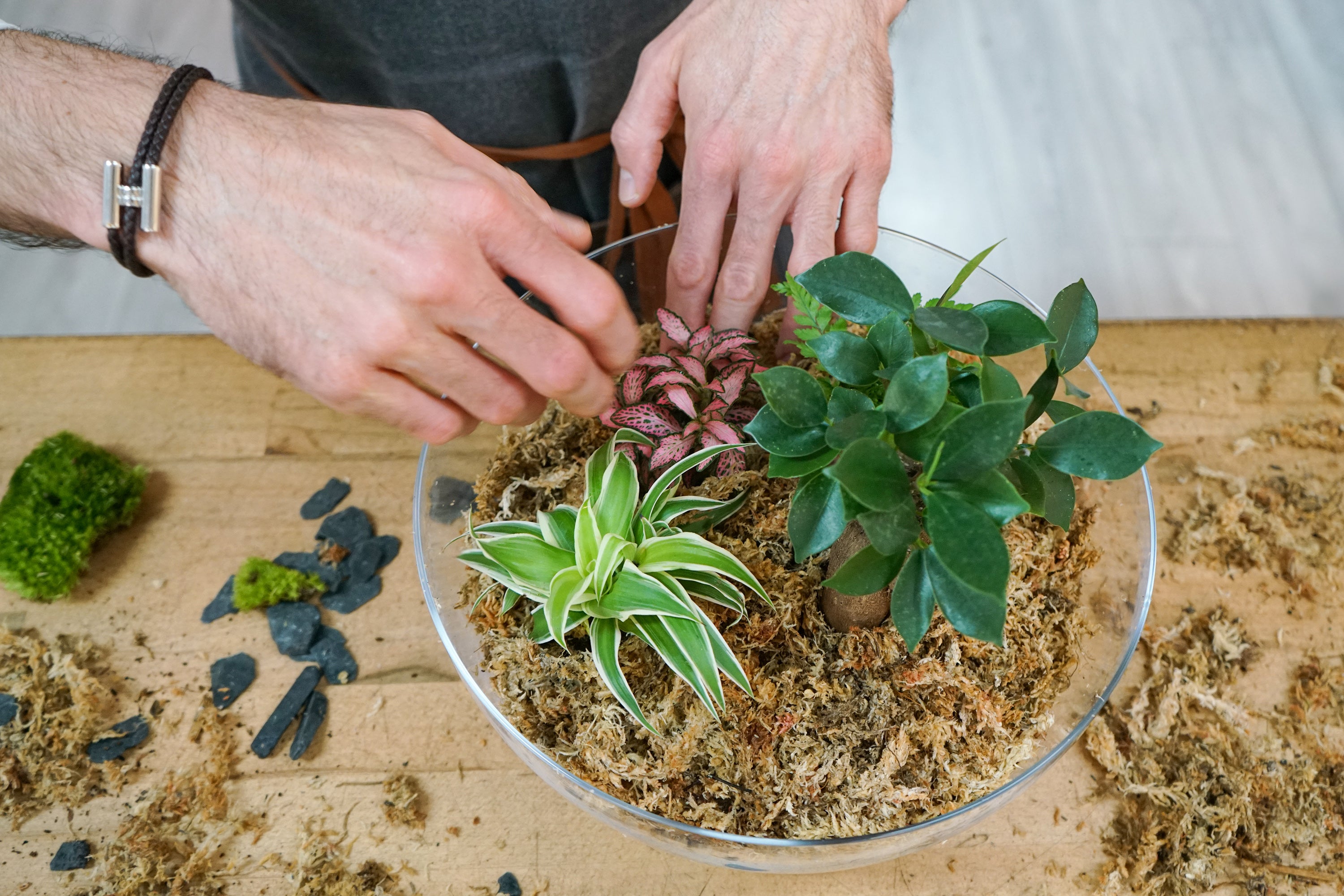 Kits terrariums DIY