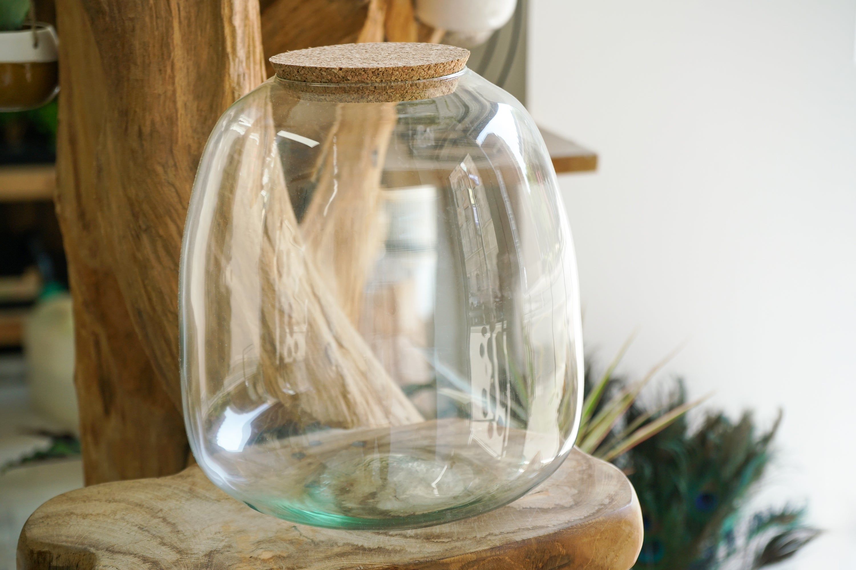 Comment créer un terrarium créatif en bocal : guide pratique pour un écosystème vivant – Panda Comment créer un terrarium créatif en bocal : guide pratique pour un écosystème vivant – Panda