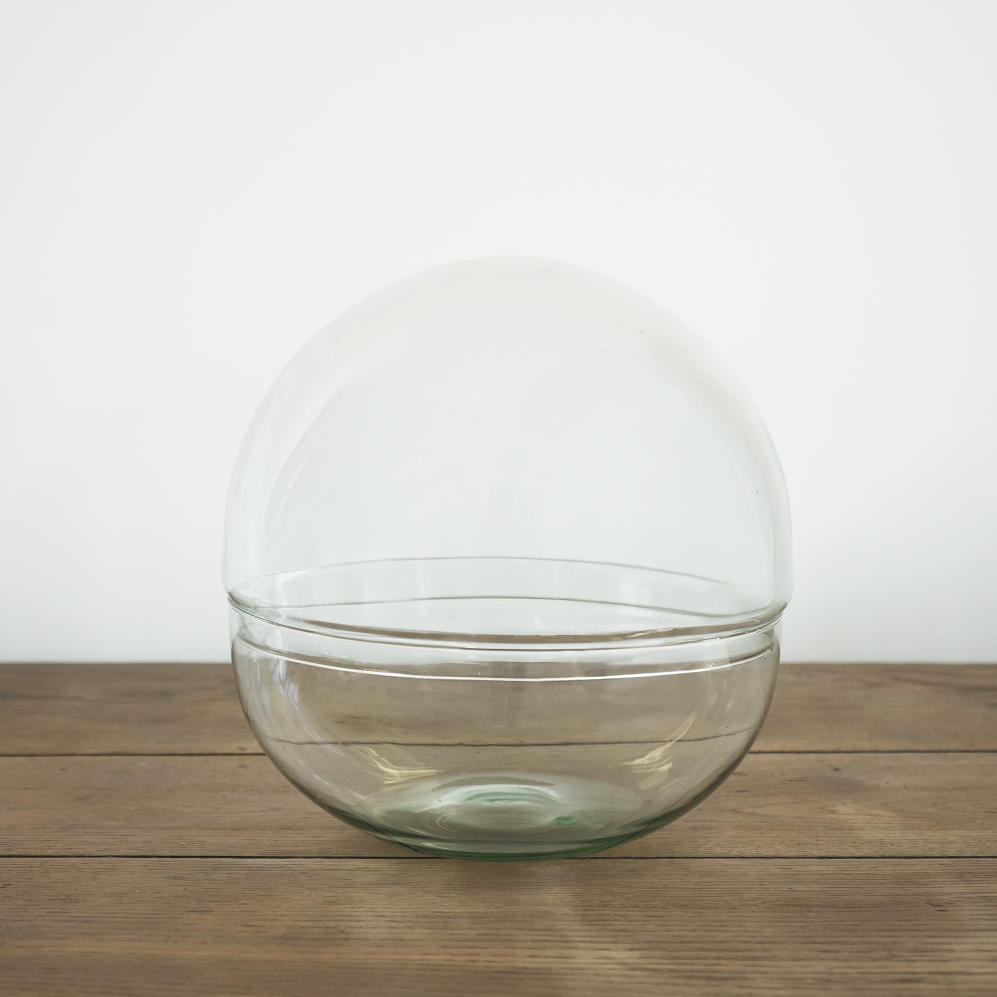 Bocal Terrarium &quot;Toto&quot;