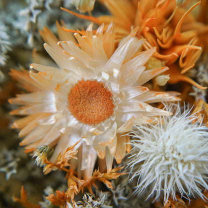 Bouquet de fleurs séchées orange