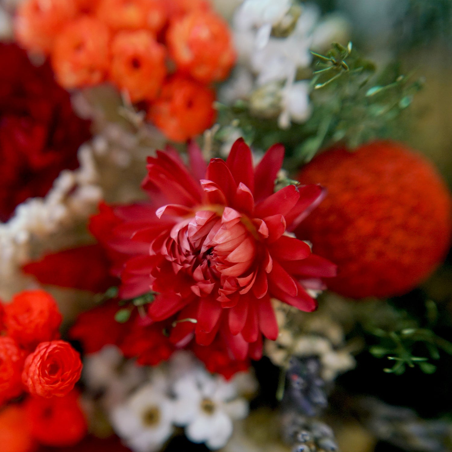 Bouquet de fleurs séchées rouge