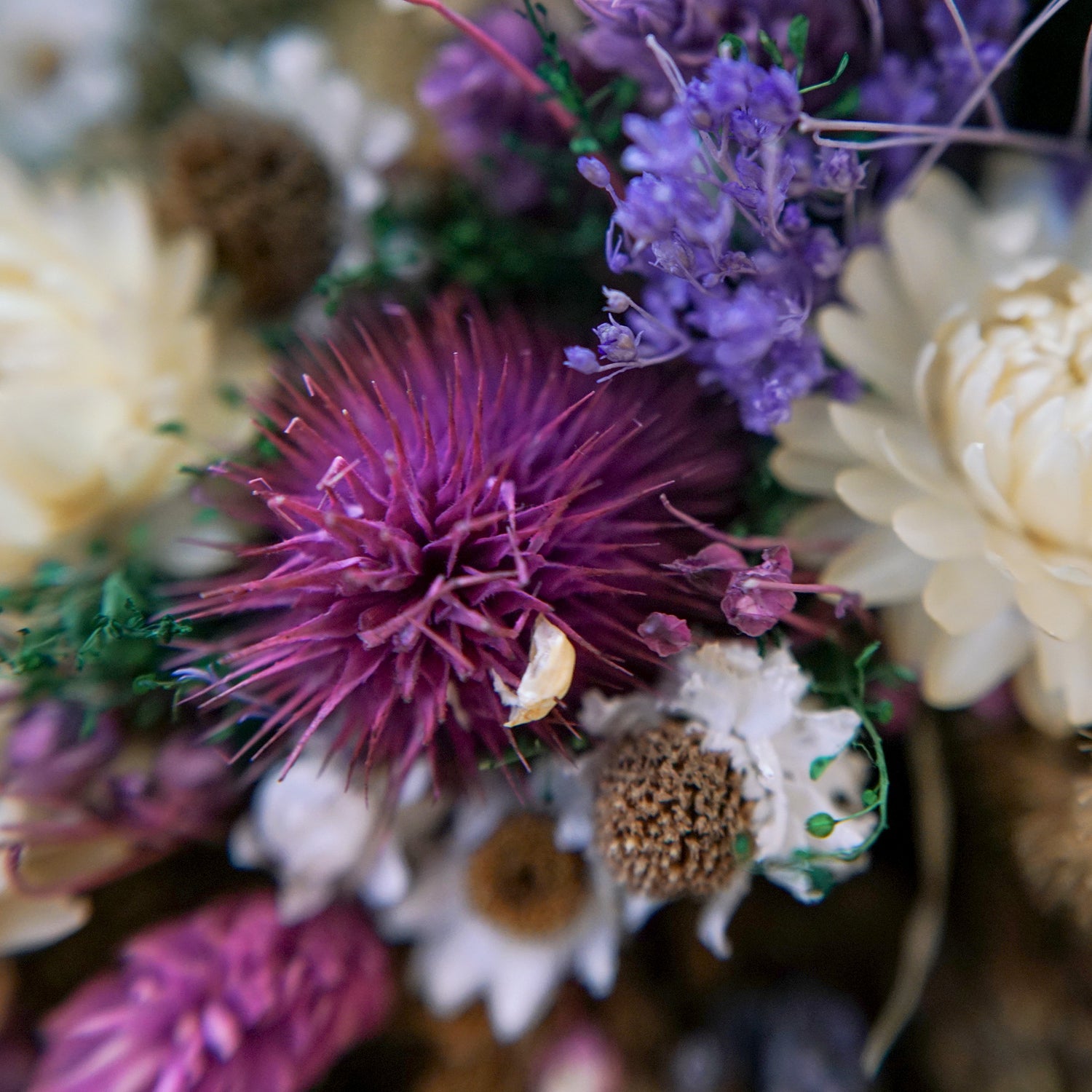 Bouquet de fleurs séchées violet
