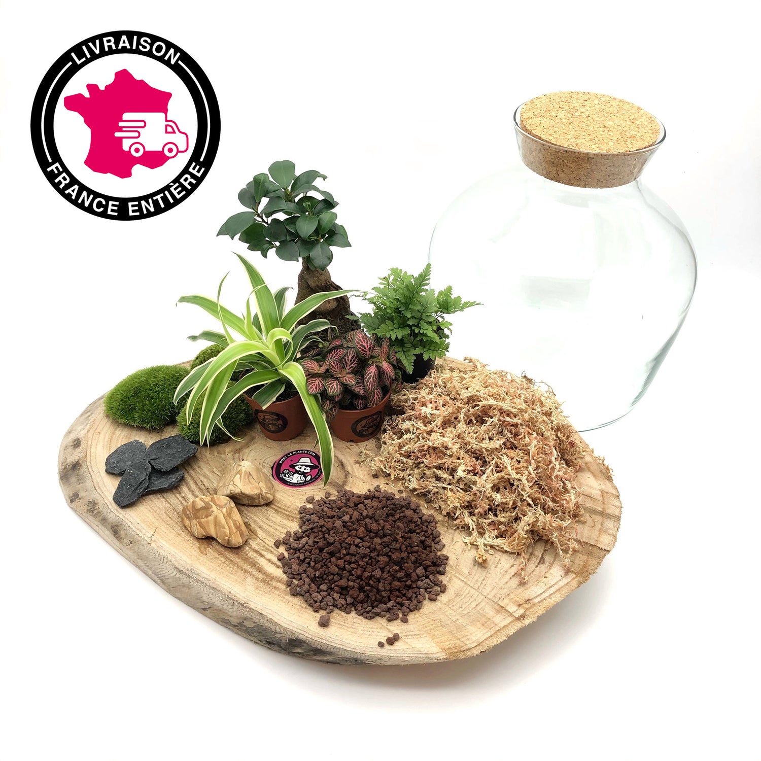 Kit Terrarium DIY &quot;Aragon L&quot;