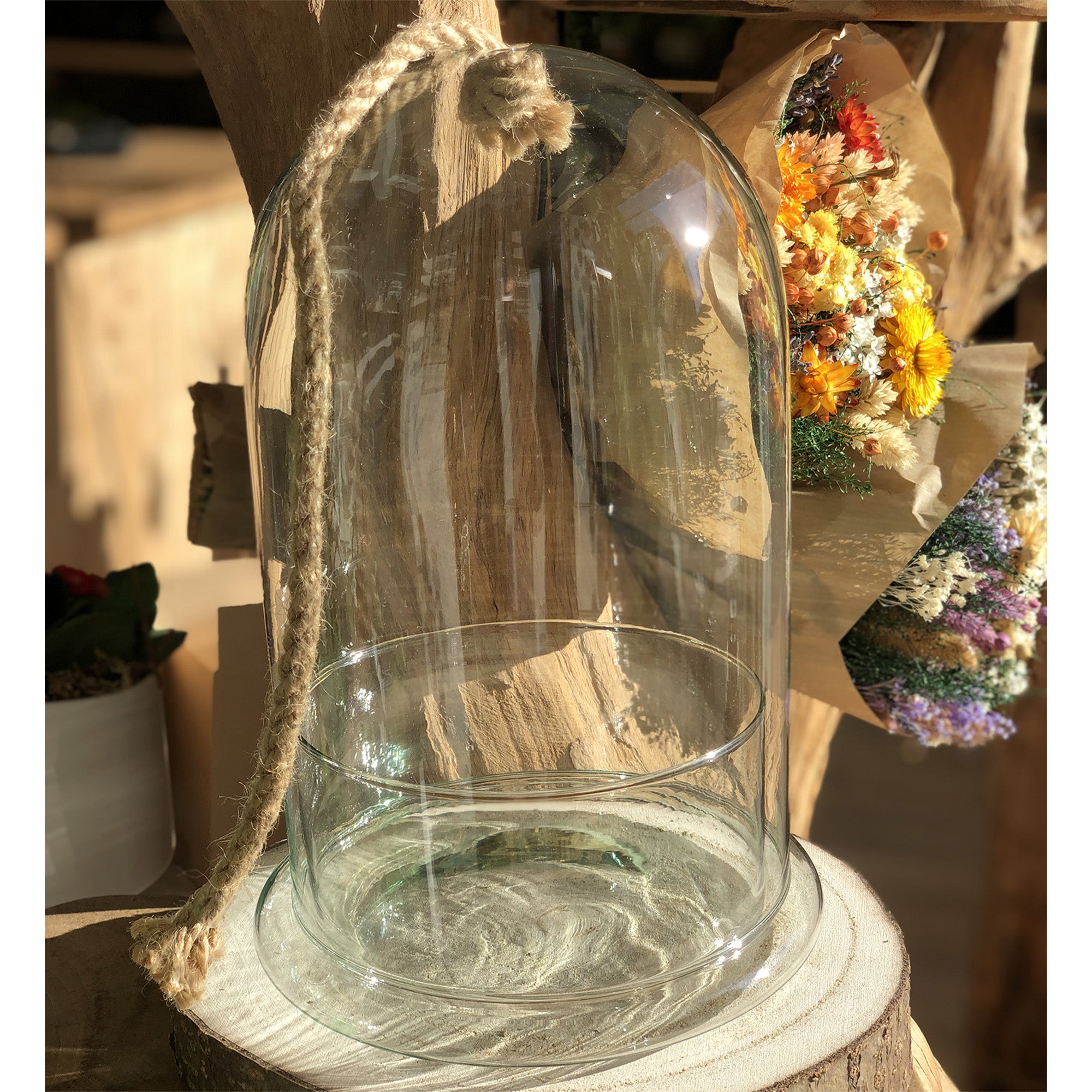 Bocal Terrarium Cloche &quot;Castille M&quot;