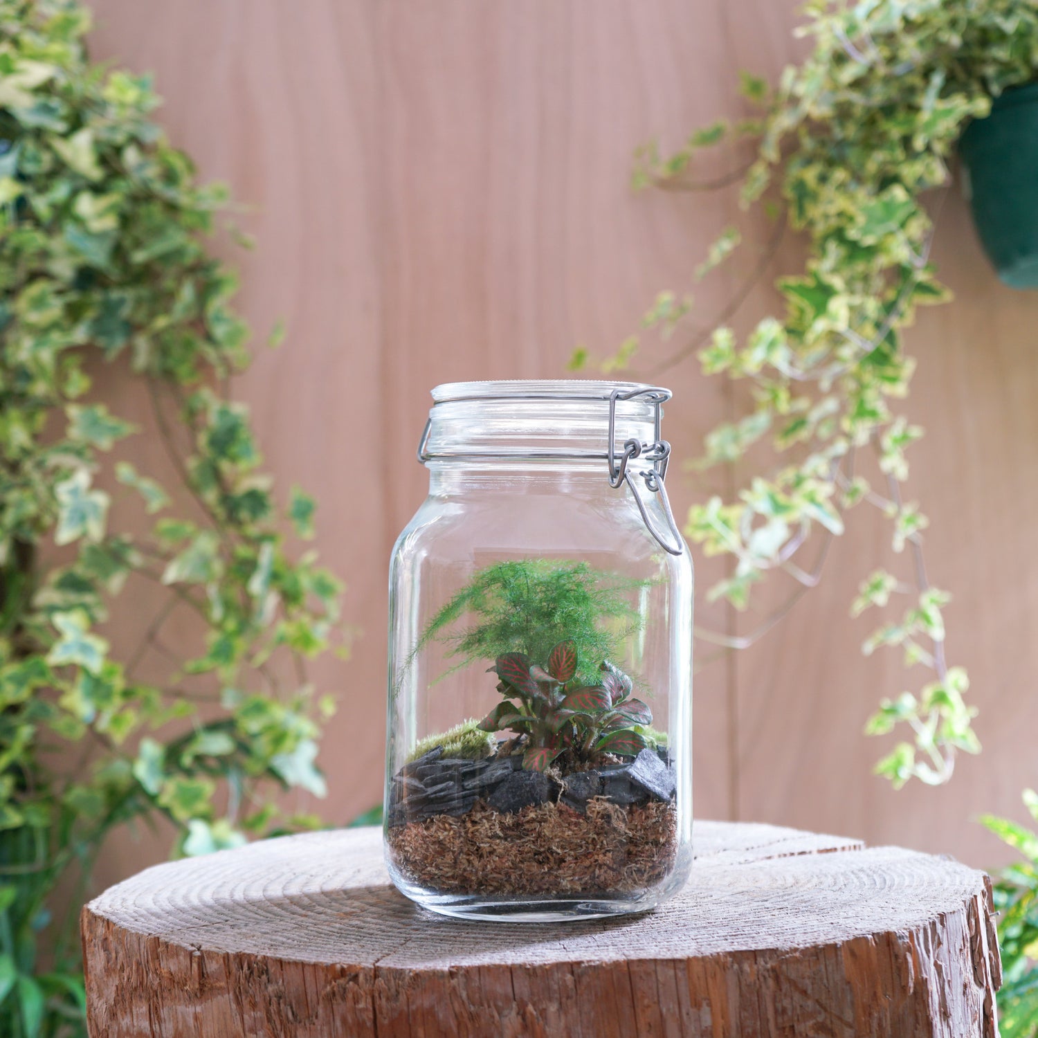 Terrarium &quot;Andrea&quot;