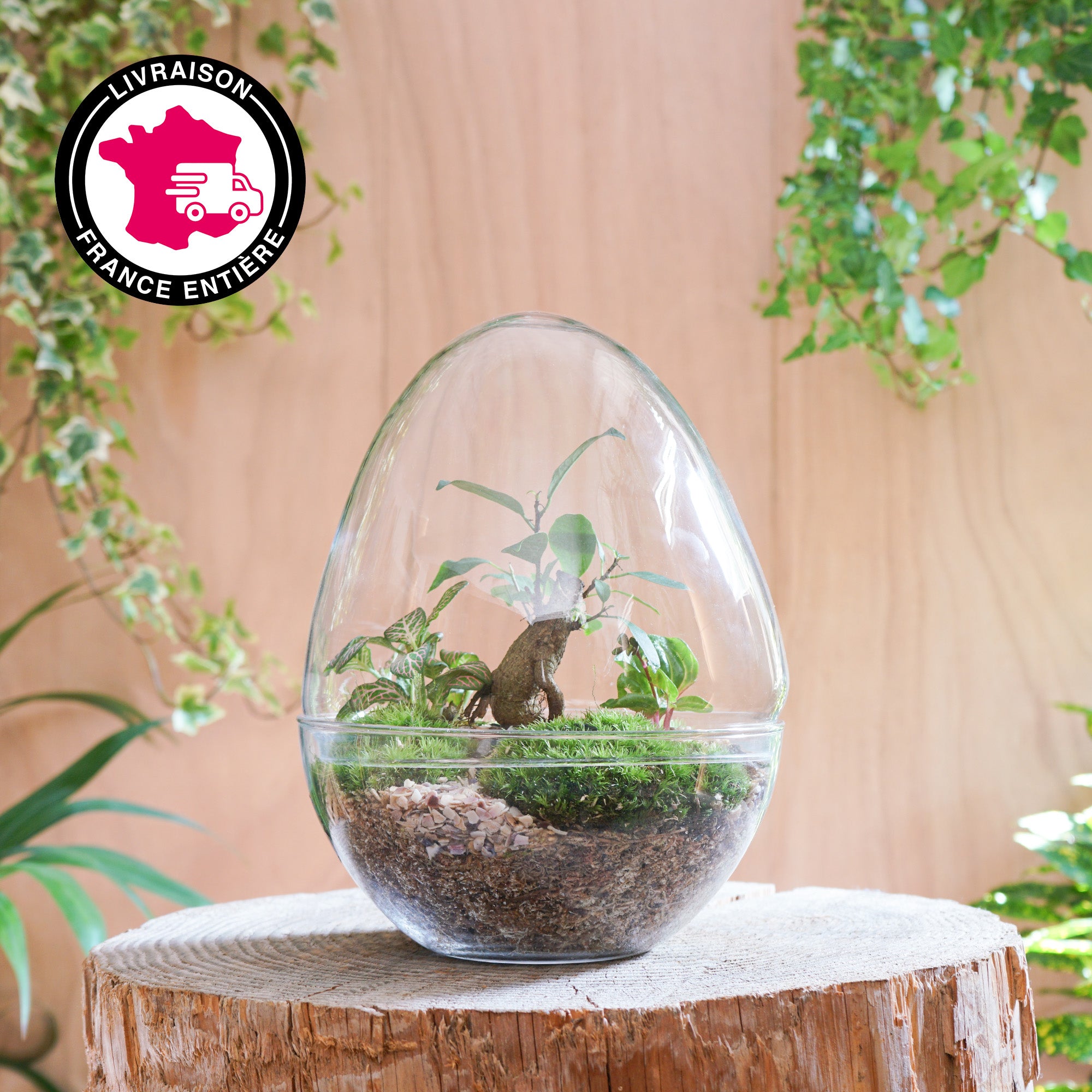 Terrarium Oeuf &quot;Framboise L&quot;