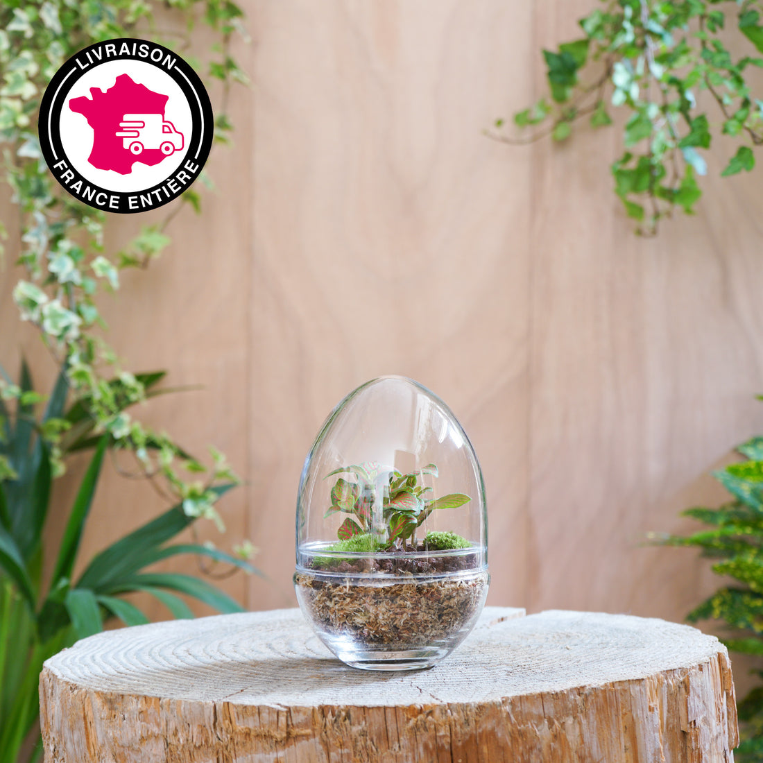Terrarium Oeuf &quot; Framboise S&quot;