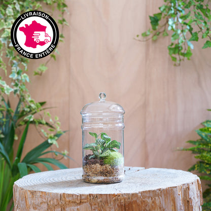 Terrarium &quot;Takatie S&quot;