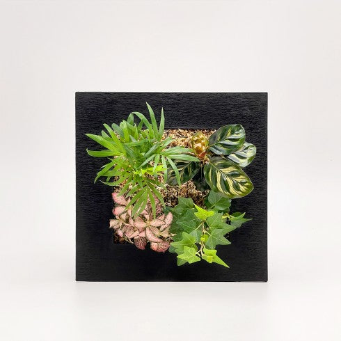 Cadre végétal artistique - 45x100 cm