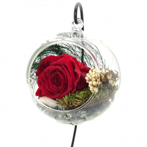 Rose Éternelle Suspendue Rouge