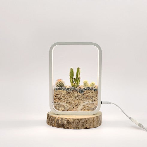 Terrarium &quot;Cactus LED&quot; blanc