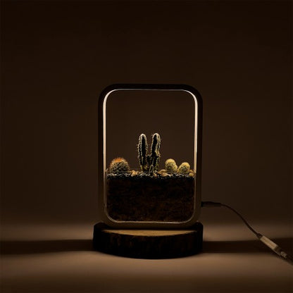 Terrarium &quot;Cactus LED&quot; blanc